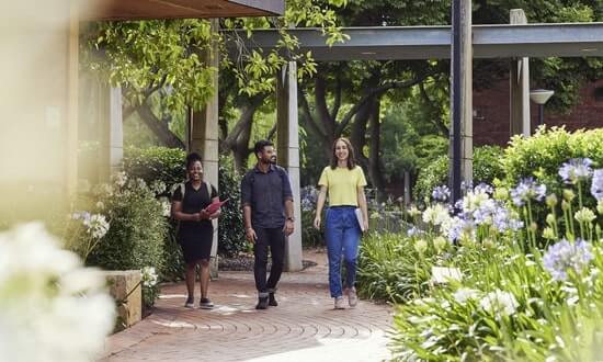 Three people walking on a campus pathway surrounded by greenery and flowers.